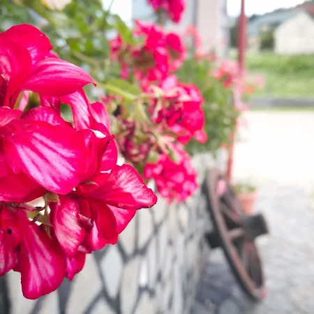 Gæstehus Casa Ardeleana *